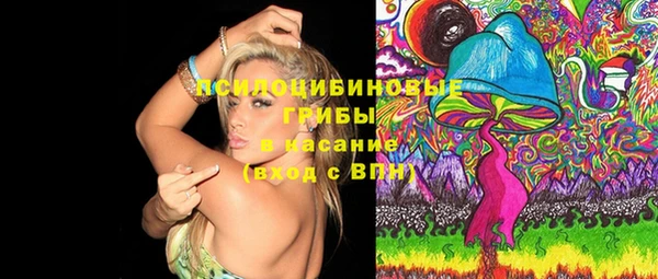 ГАЛЛЮЦИНОГЕННЫЕ ГРИБЫ Семикаракорск